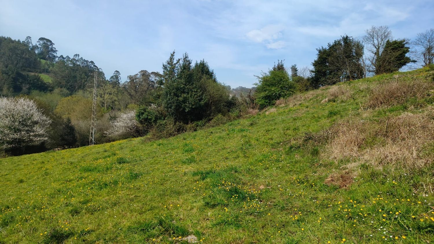 Fincas y solares-Venta-GijÃ³n-1718738-Foto-9