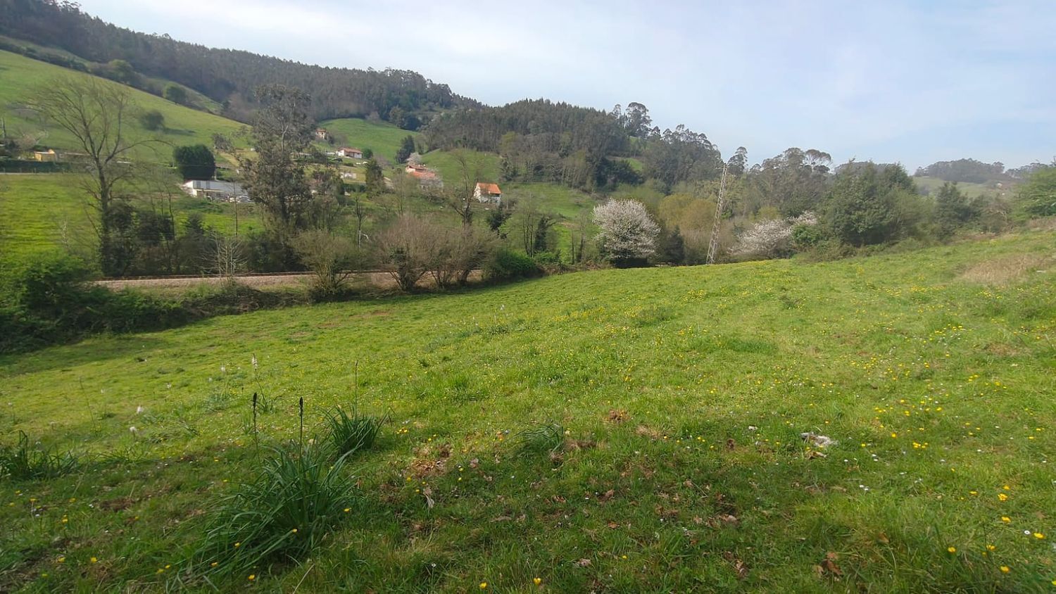 Fincas y solares-Venta-GijÃ³n-1718738-Foto-11
