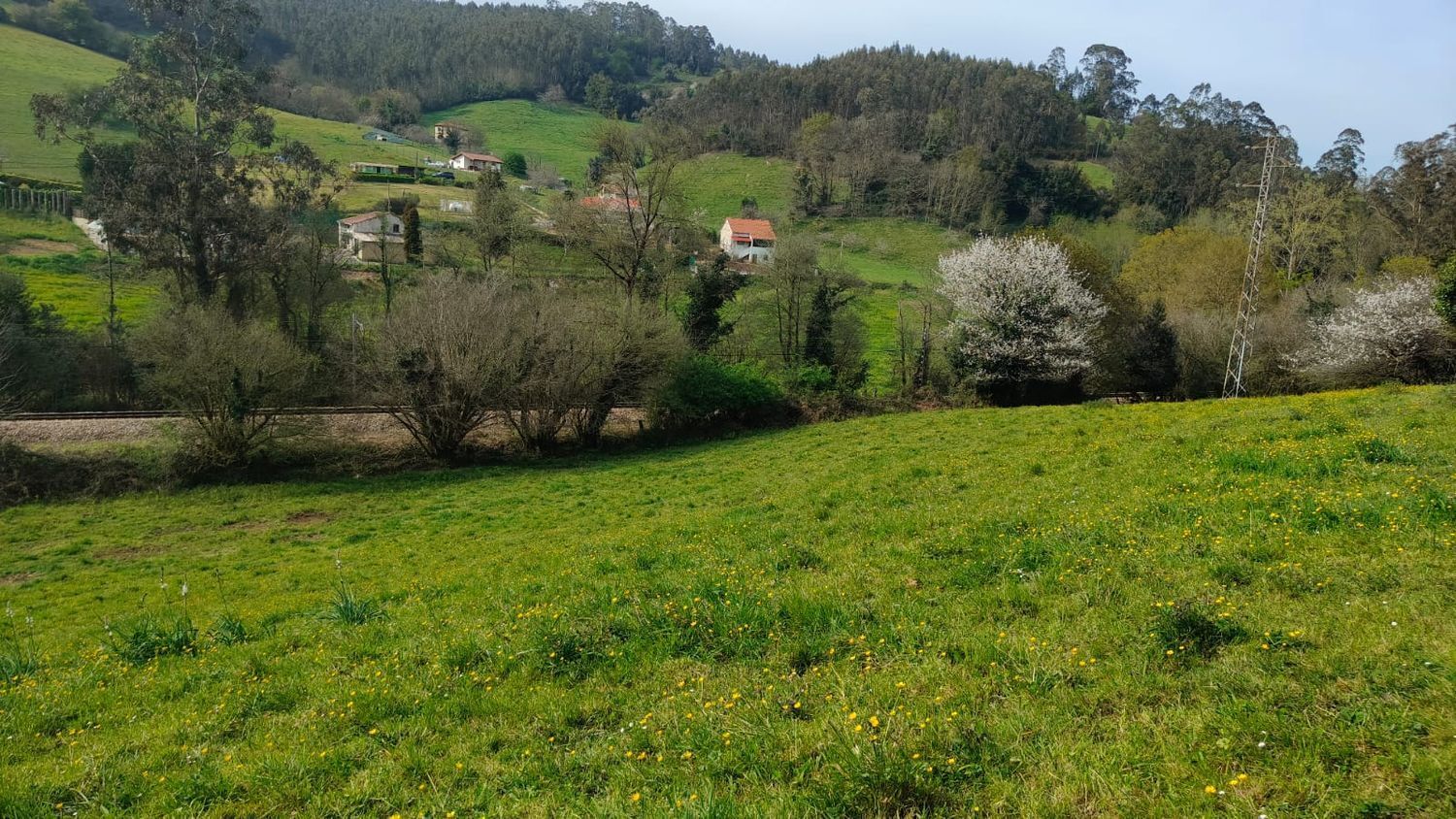 Fincas y solares-Venta-GijÃ³n-1718738-Foto-12