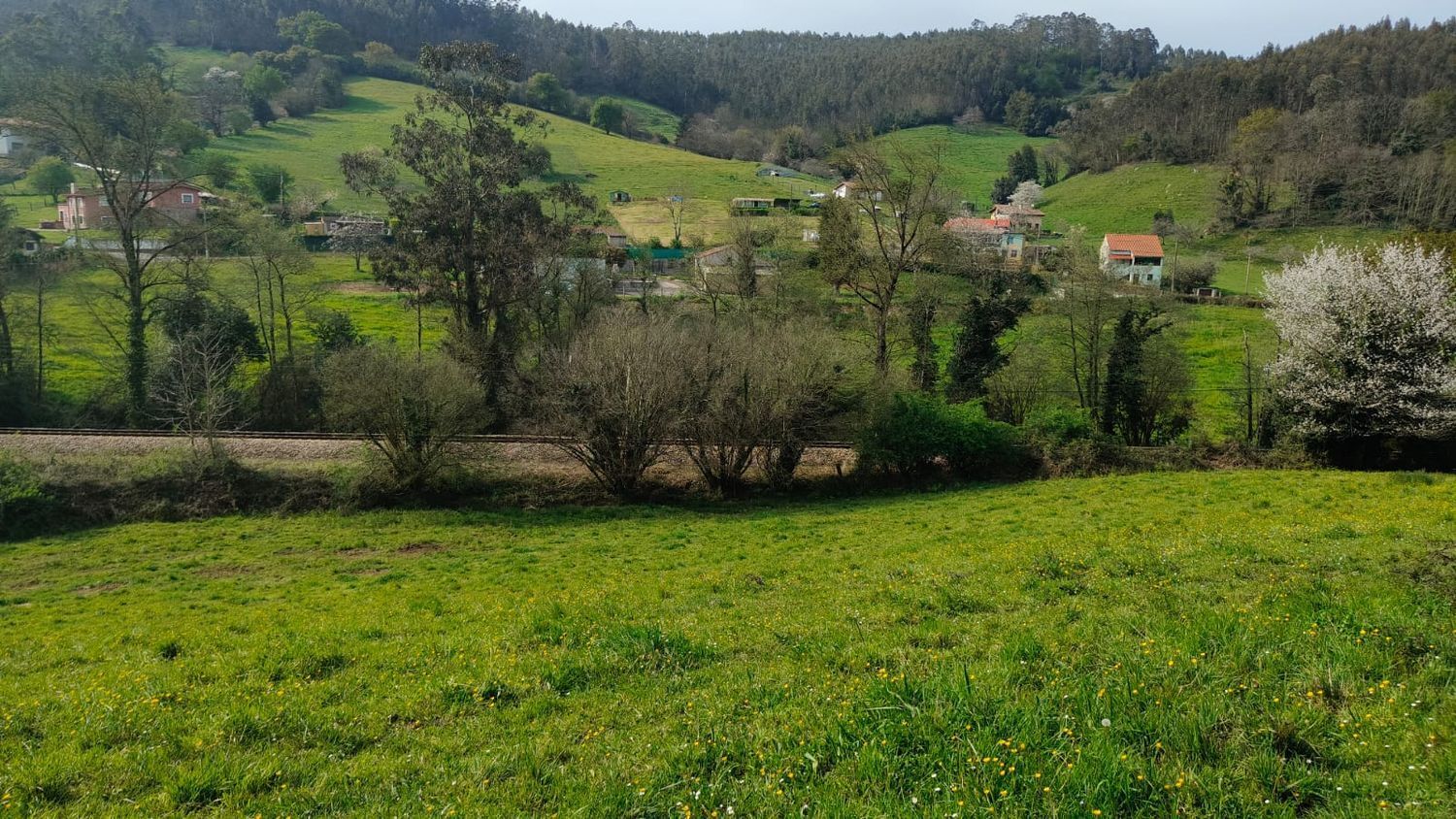 Fincas y solares-Venta-GijÃ³n-1718738-Foto-13