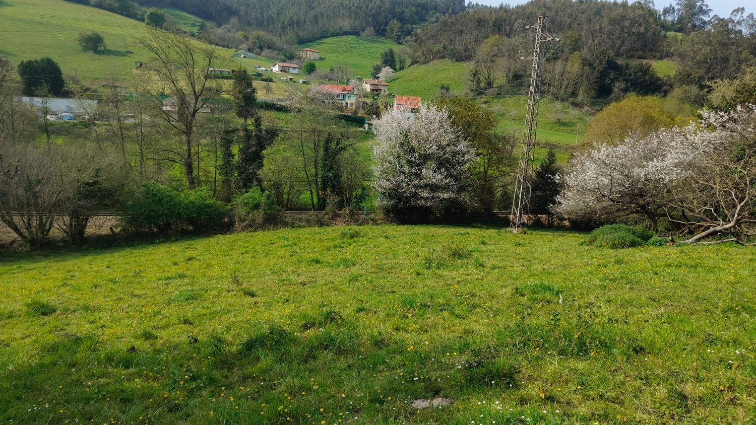 Fincas y solares-Venta-GijÃ³n-1718738-Foto-16