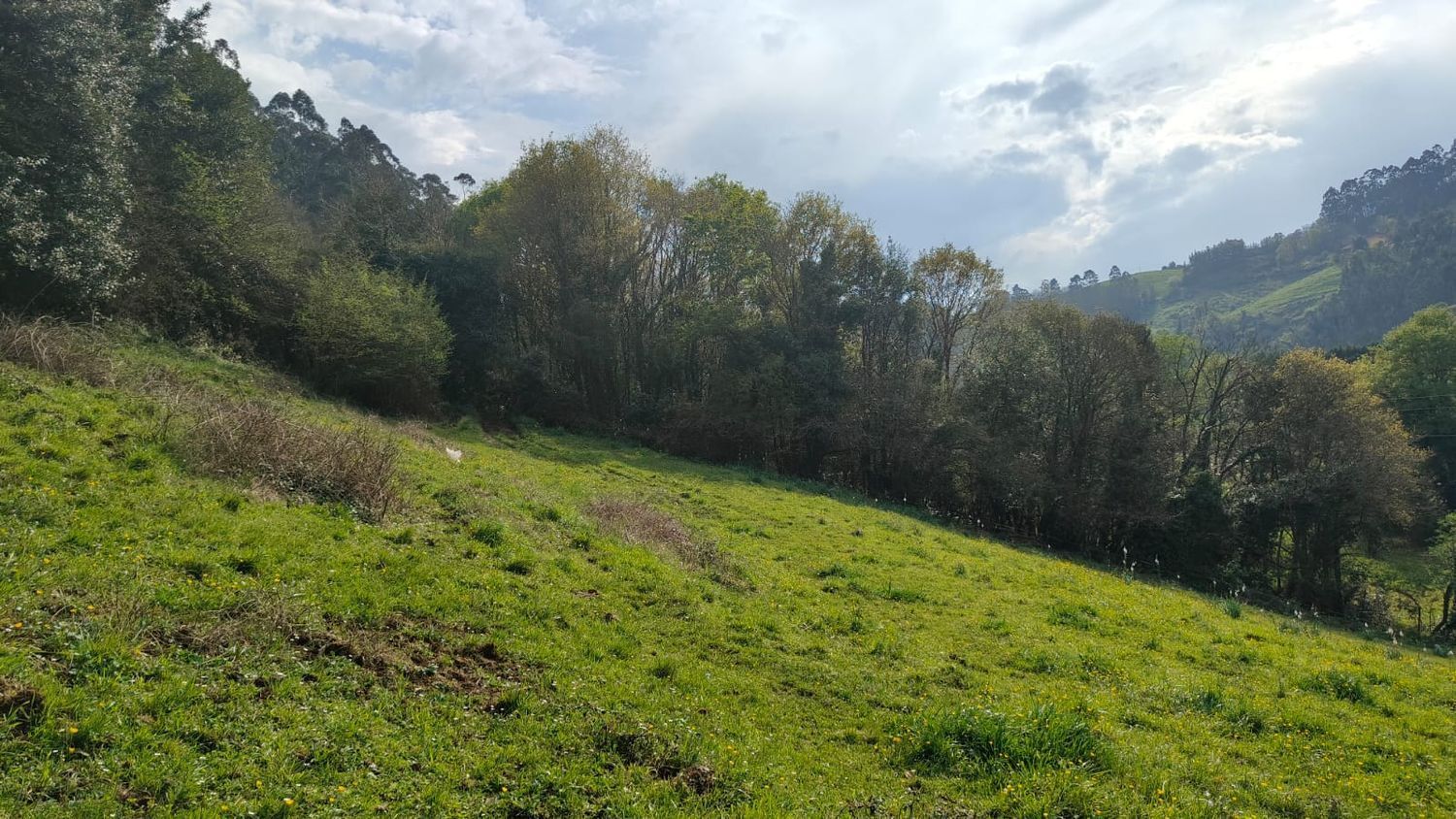 Fincas y solares-Venta-GijÃ³n-1718738-Foto-14