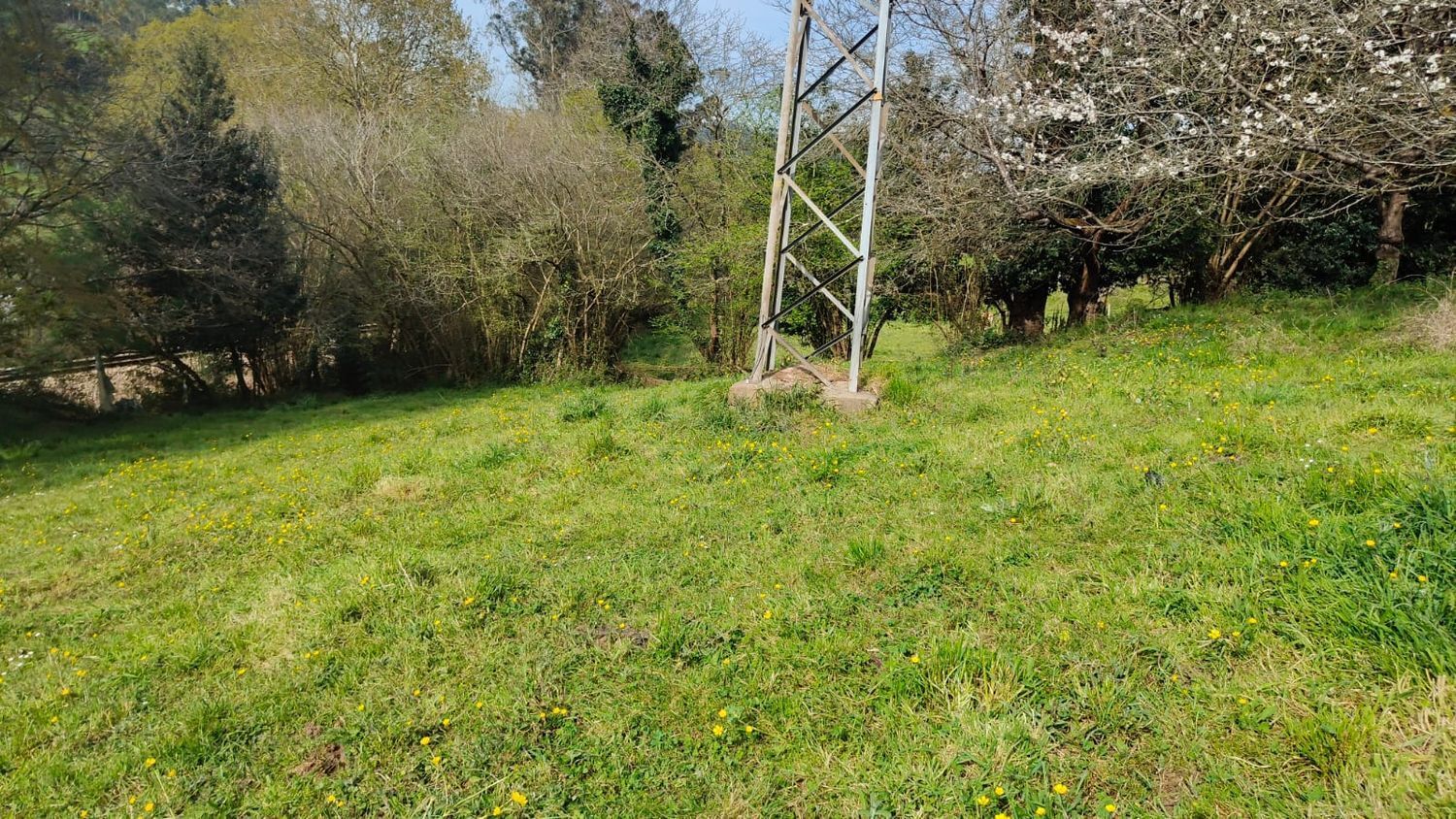 Fincas y solares-Venta-GijÃ³n-1718738-Foto-20