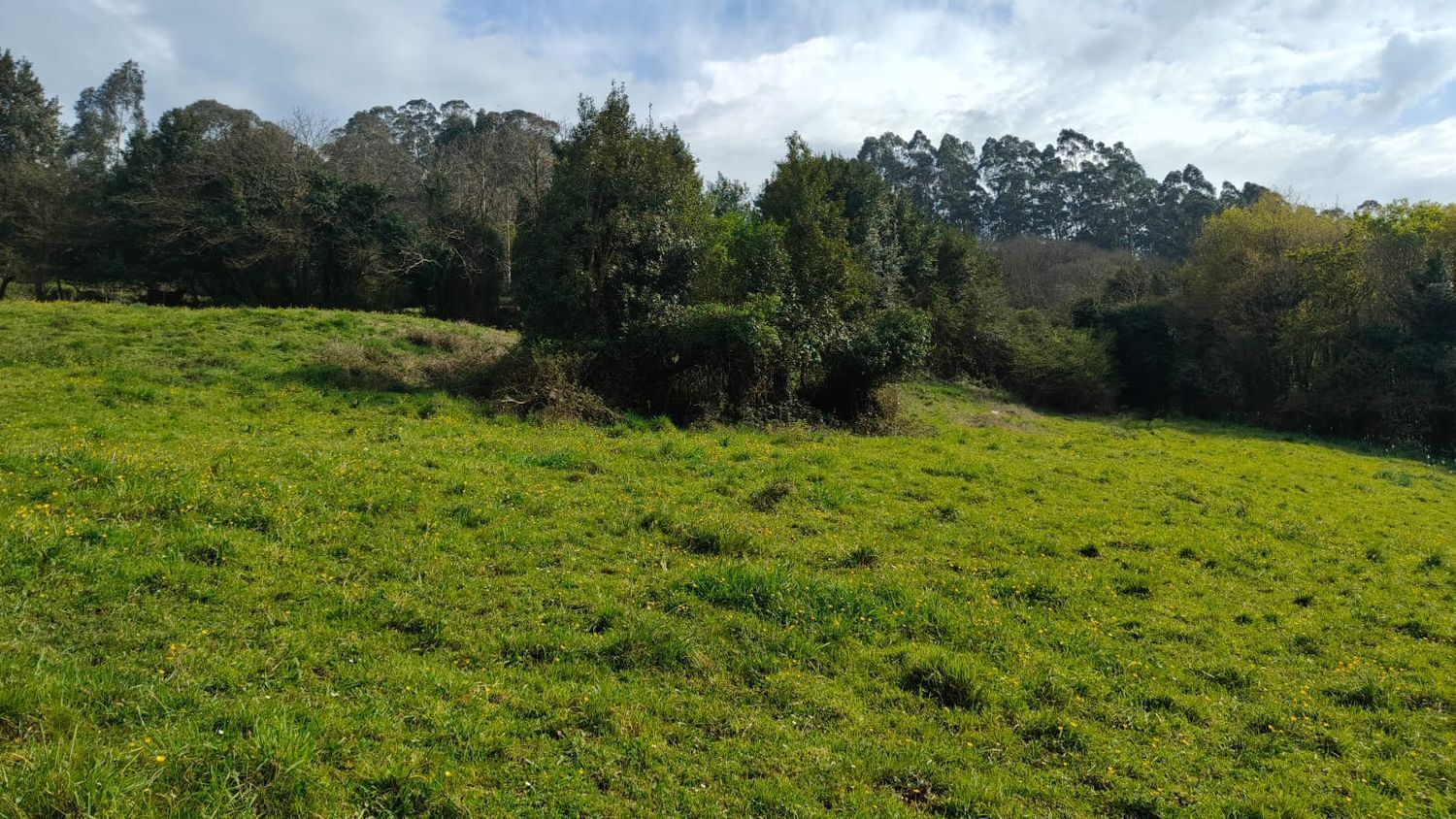 Fincas y solares-Venta-GijÃ³n-1718738-Foto-18