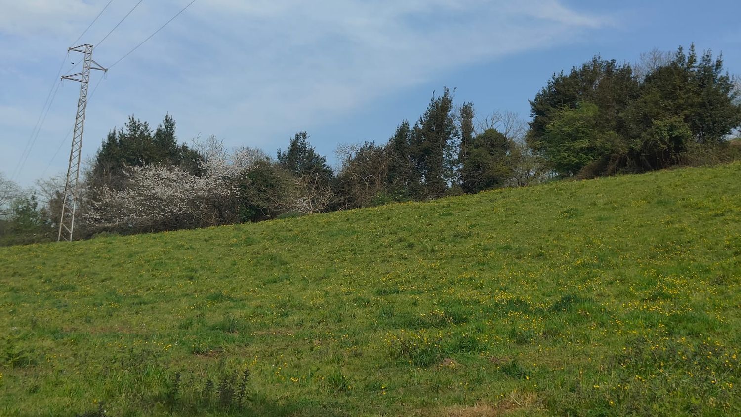 Fincas y solares-Venta-GijÃ³n-1718738-Foto-22