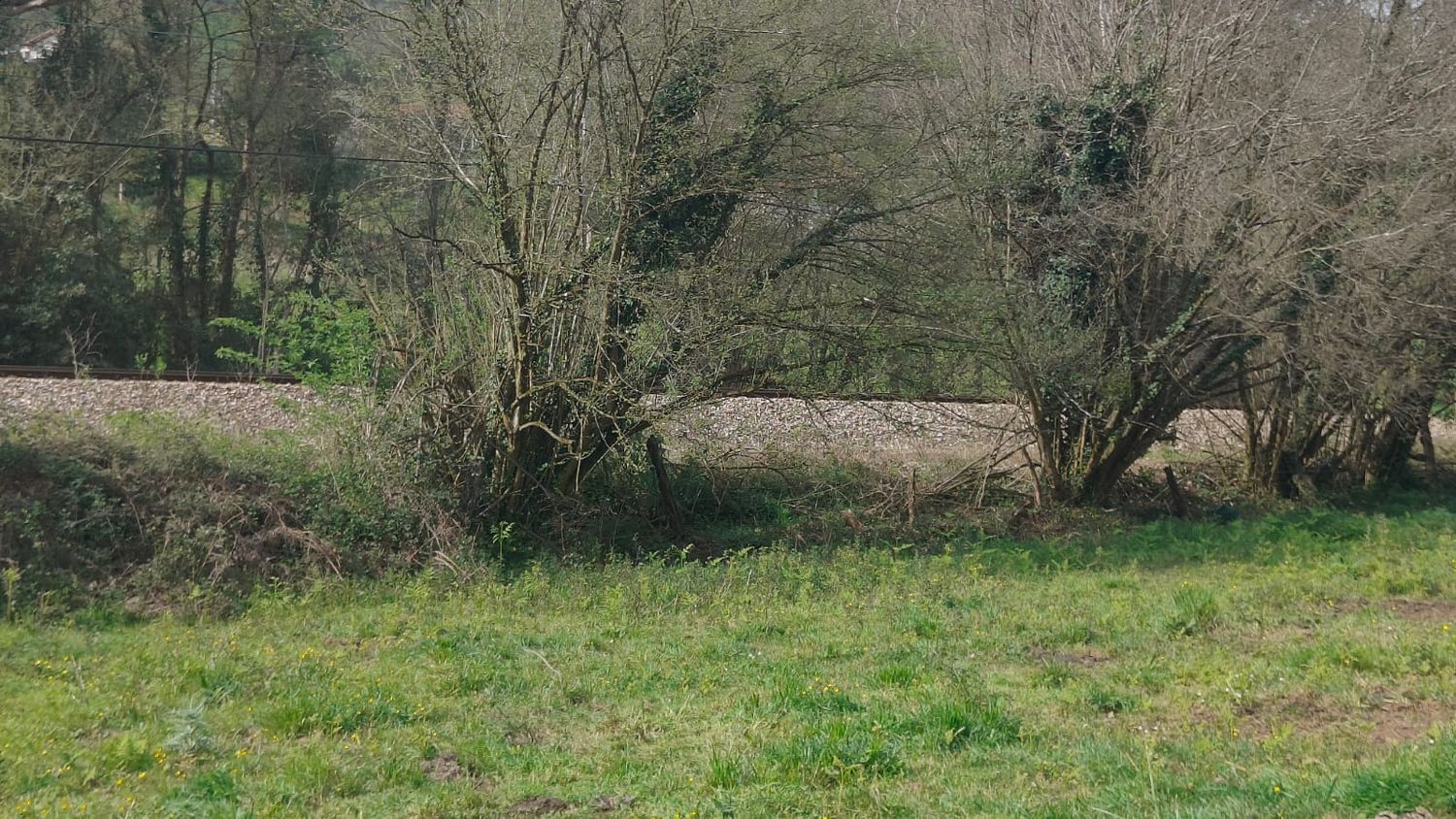 Fincas y solares-Venta-GijÃ³n-1718738-Foto-21