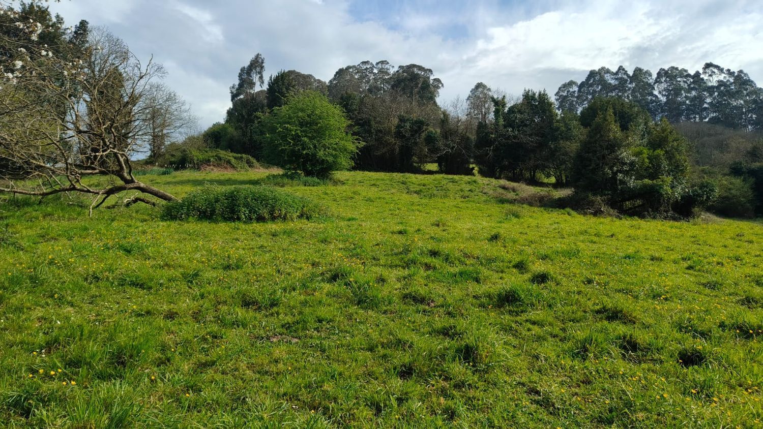 Fincas y solares-Venta-GijÃ³n-1718738-Foto-19