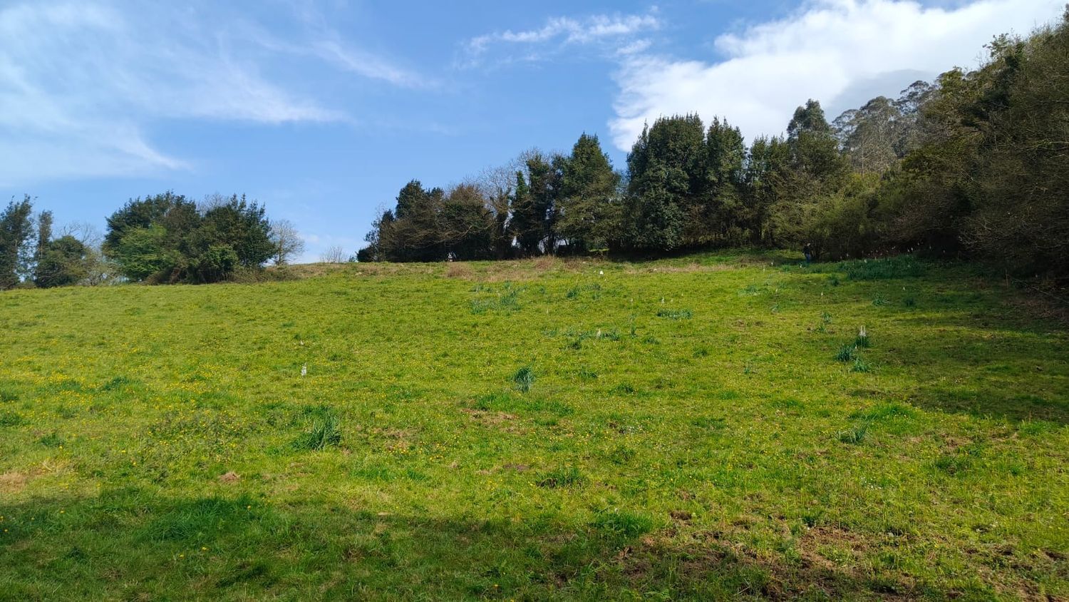 Fincas y solares-Venta-GijÃ³n-1718738-Foto-24