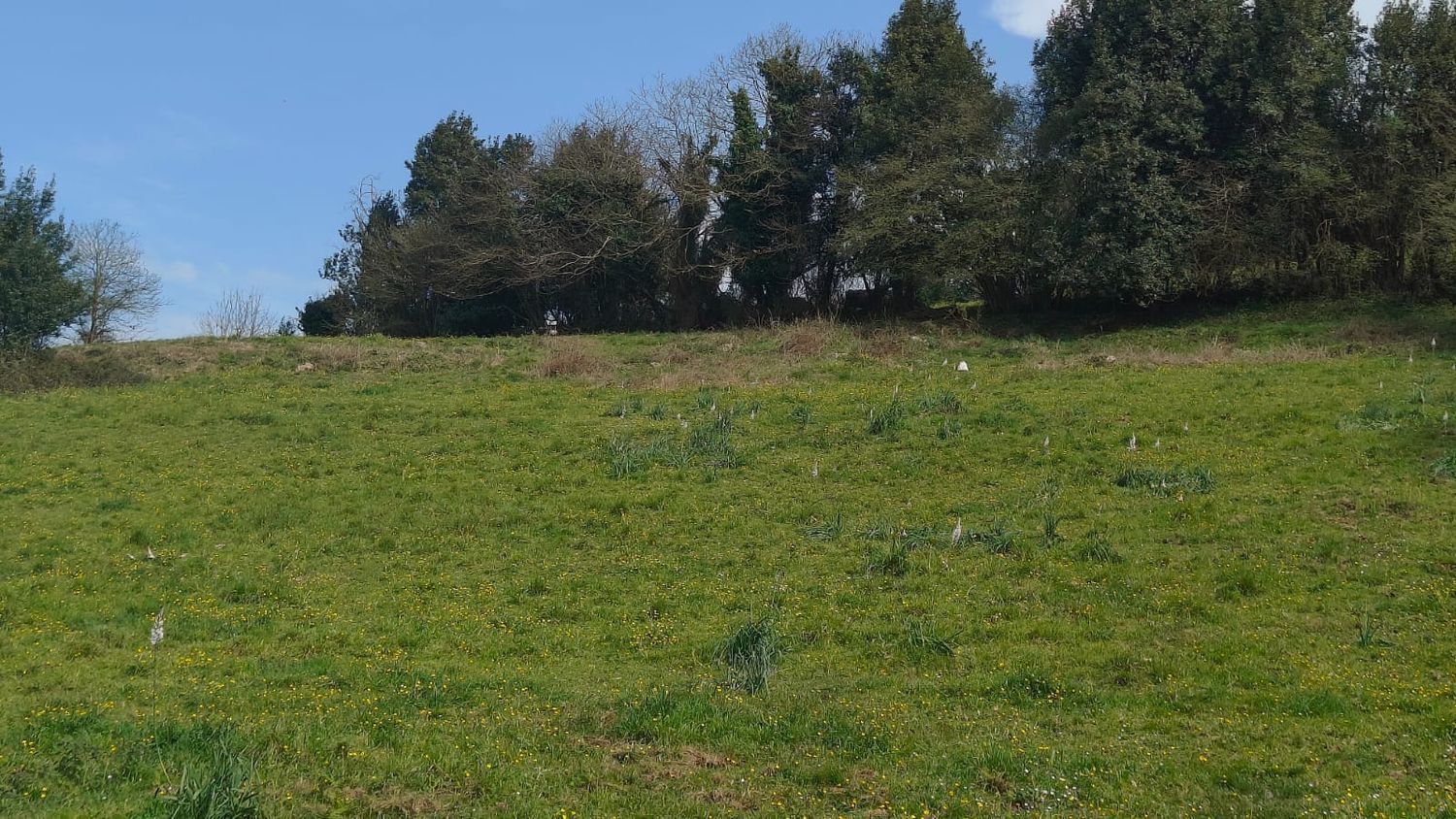 Fincas y solares-Venta-GijÃ³n-1718738-Foto-23