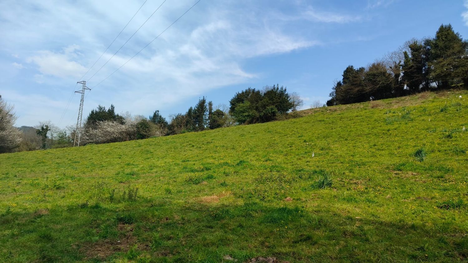 Fincas y solares-Venta-GijÃ³n-1718738-Foto-27