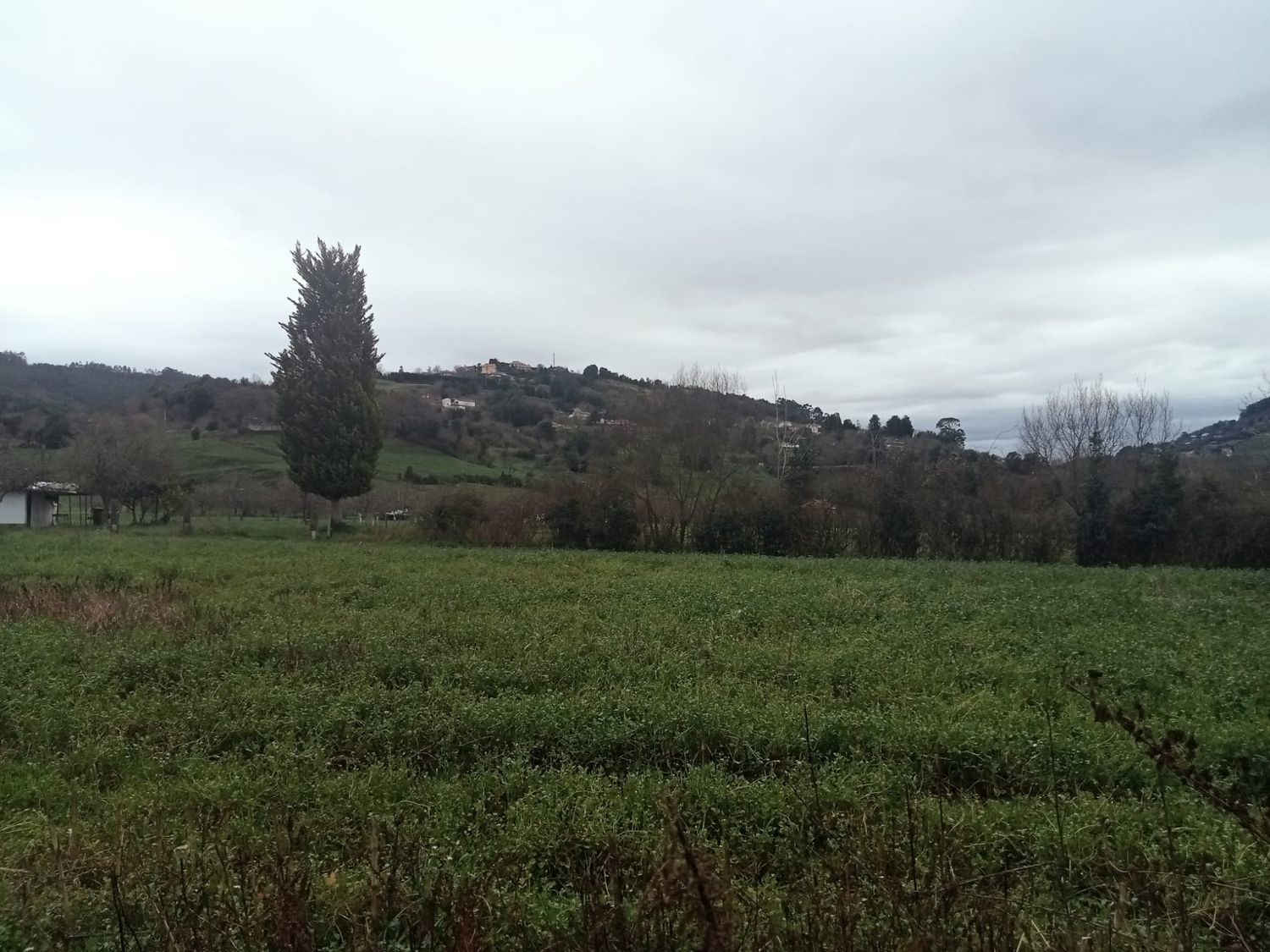 Fincas y solares-Venta-GijÃ³n-1068750-Foto-2