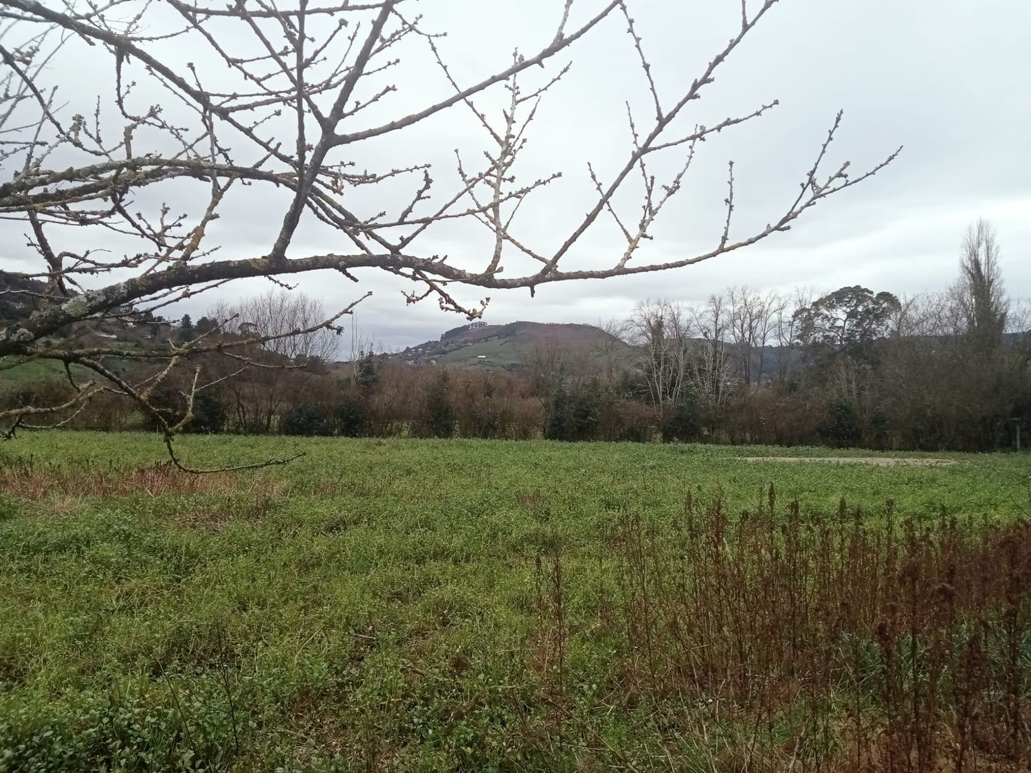 Fincas y solares-Venta-GijÃ³n-1068750-Foto-3