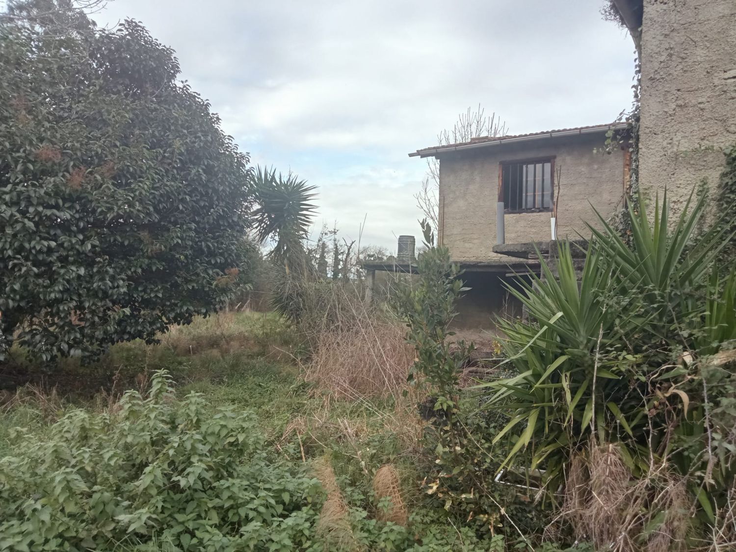 Fincas y solares-Venta-GijÃ³n-1068750-Foto-8