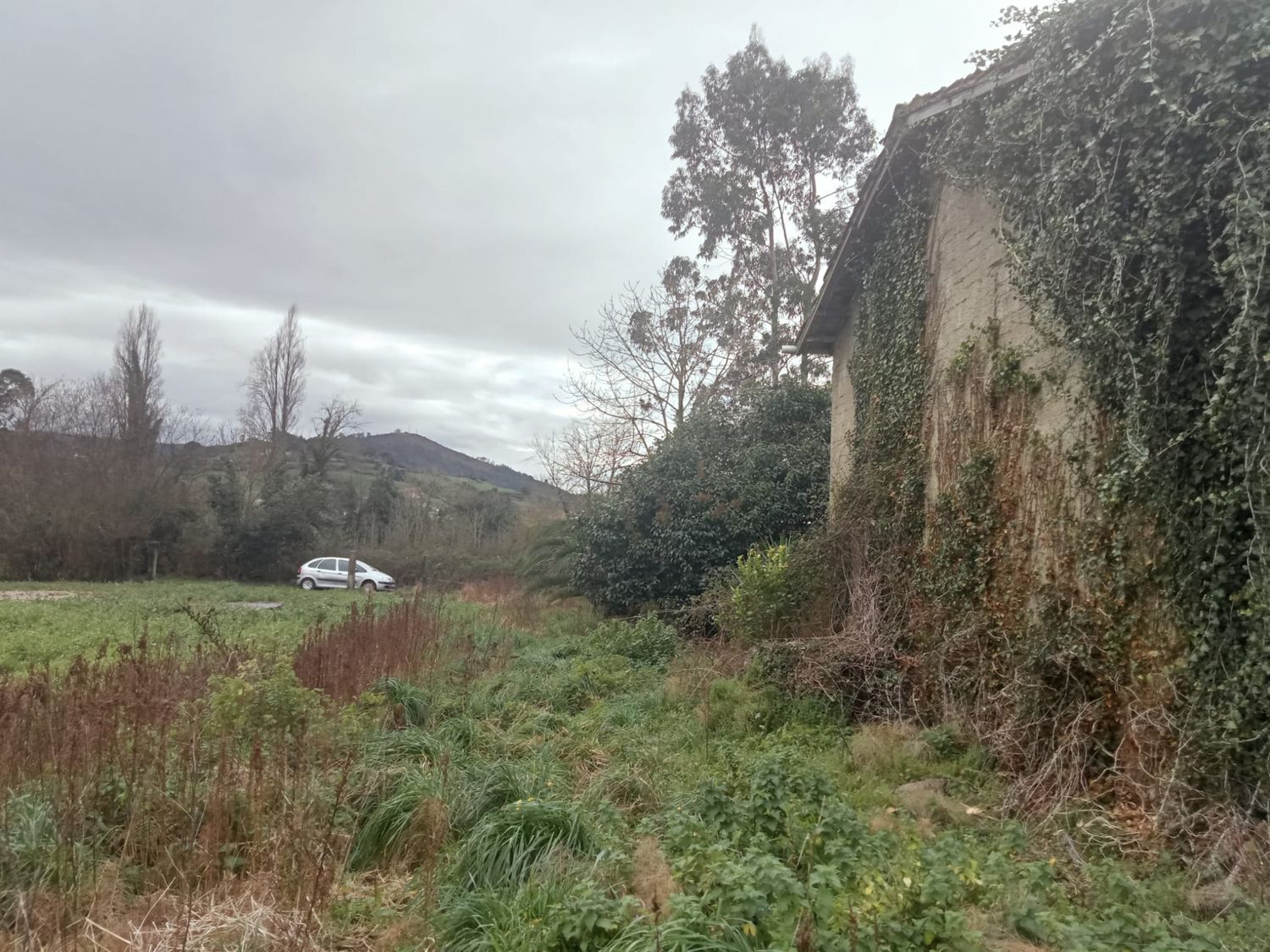 Fincas y solares-Venta-GijÃ³n-1068750-Foto-11