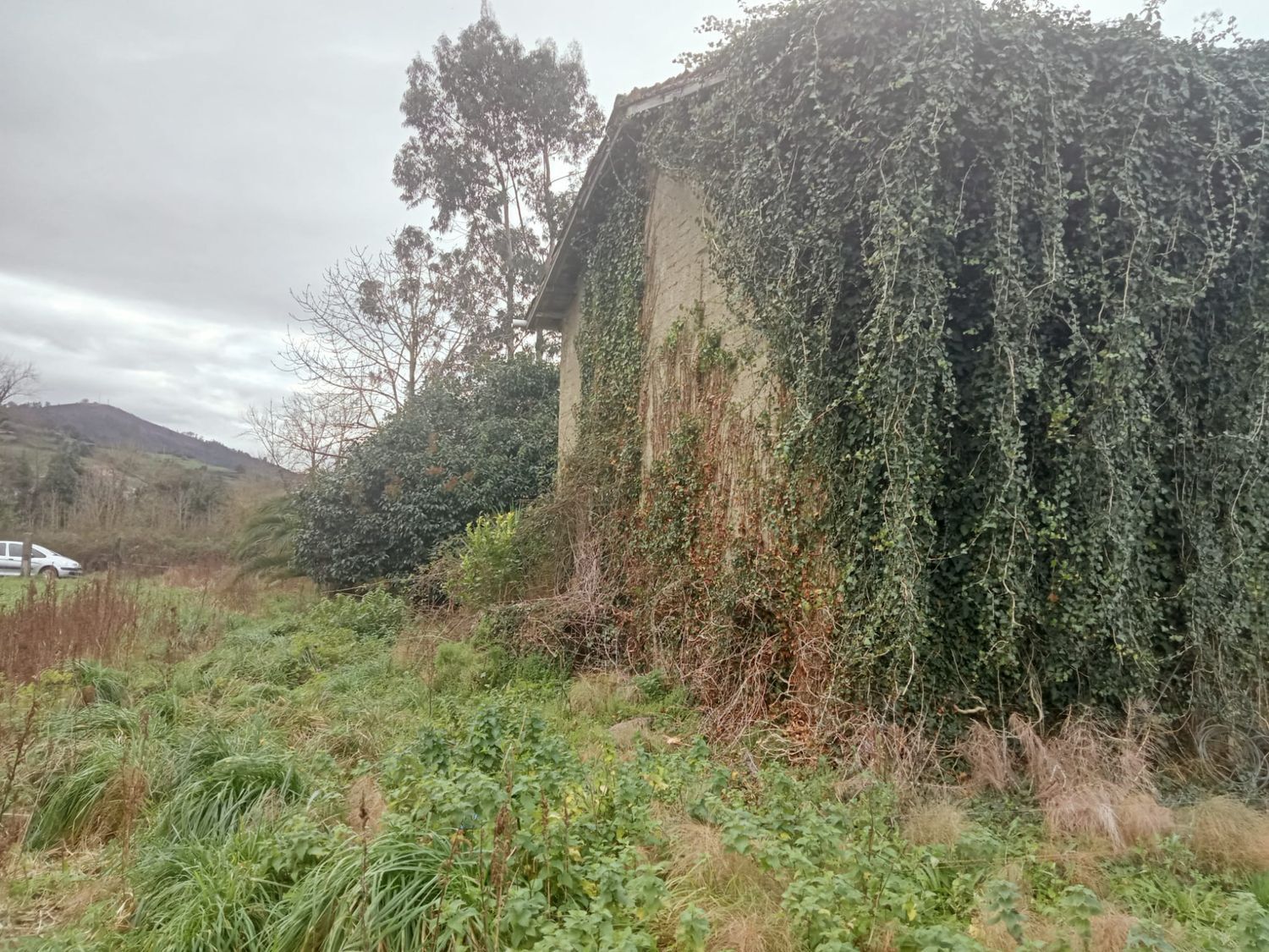 Fincas y solares-Venta-GijÃ³n-1068750-Foto-12