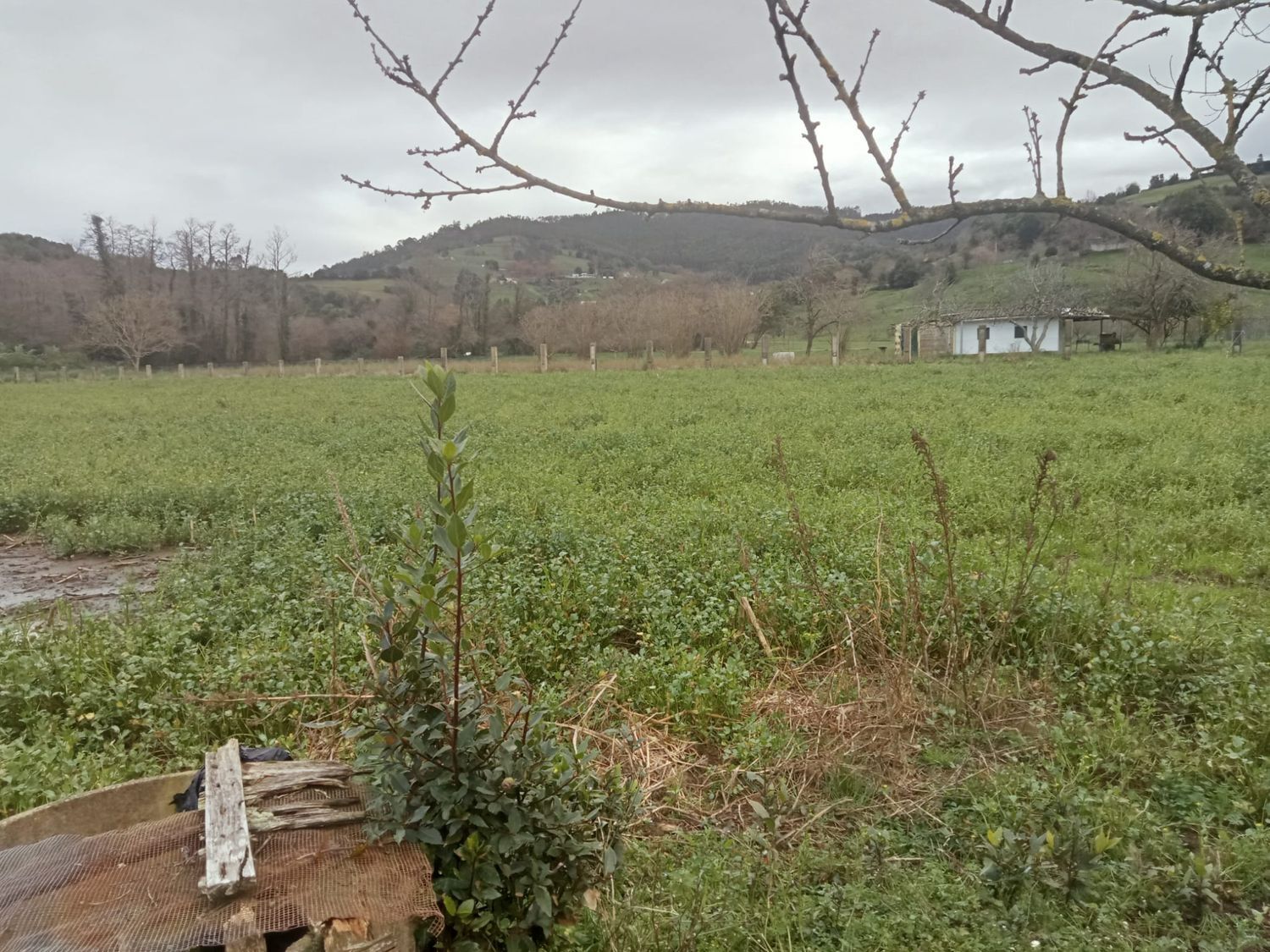 Fincas y solares-Venta-GijÃ³n-1068750-Foto-17