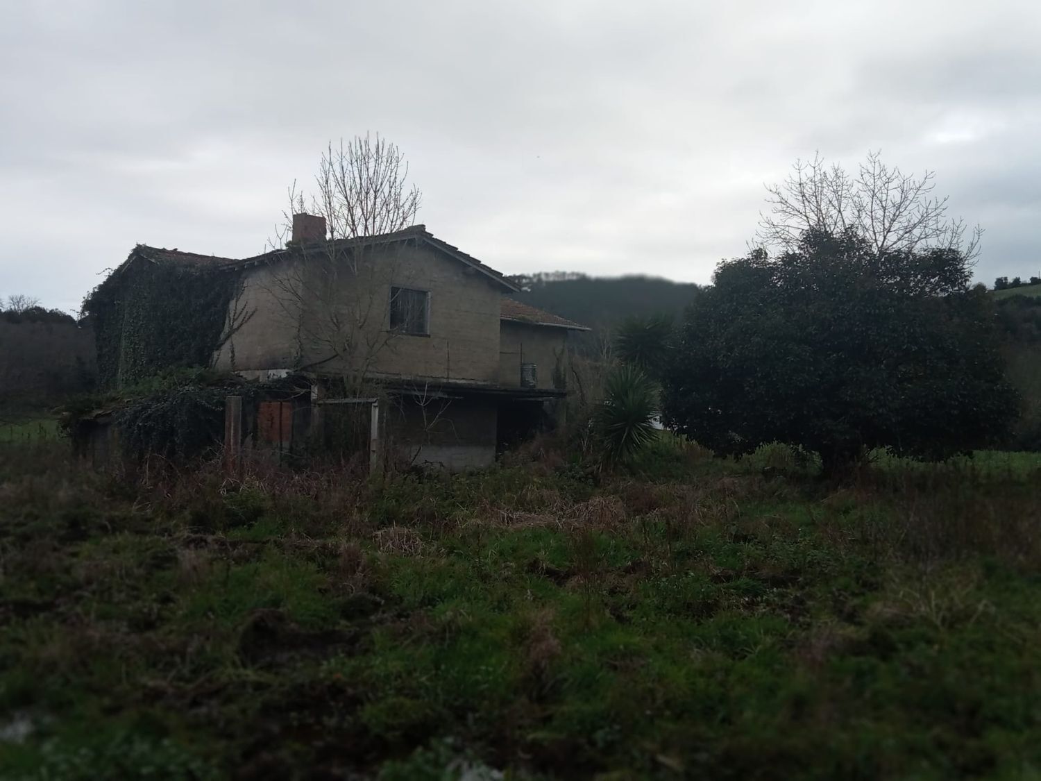 Fincas y solares-Venta-GijÃ³n-1068750-Foto-22