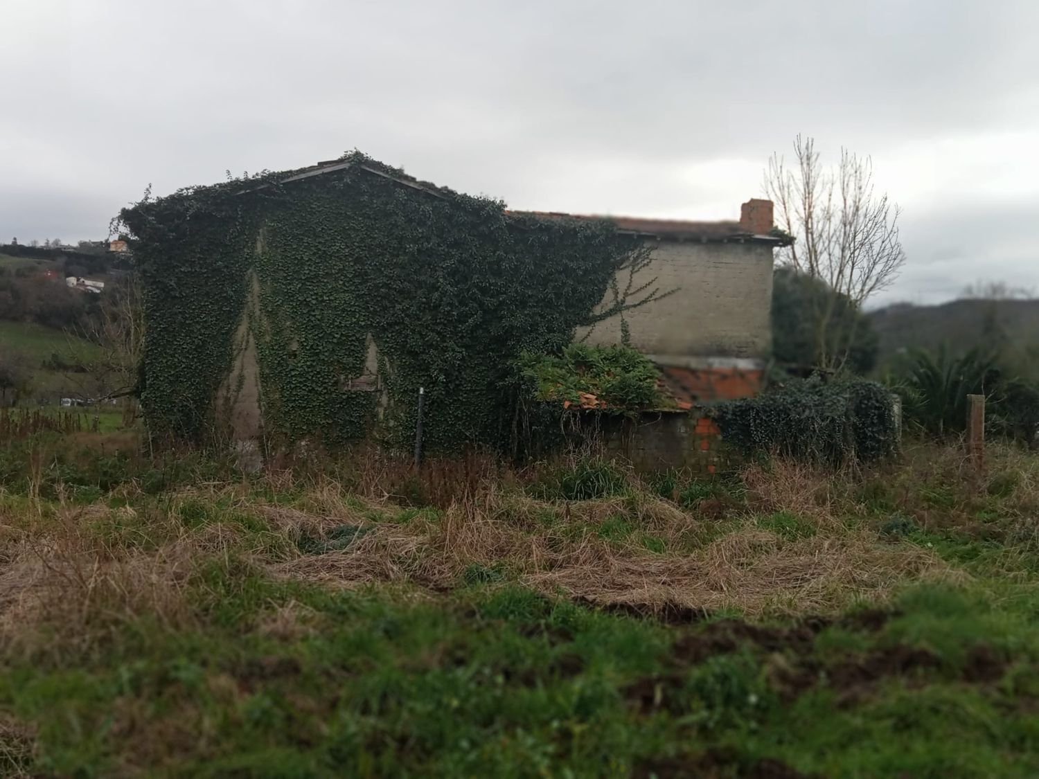 Fincas y solares-Venta-GijÃ³n-1068750-Foto-23