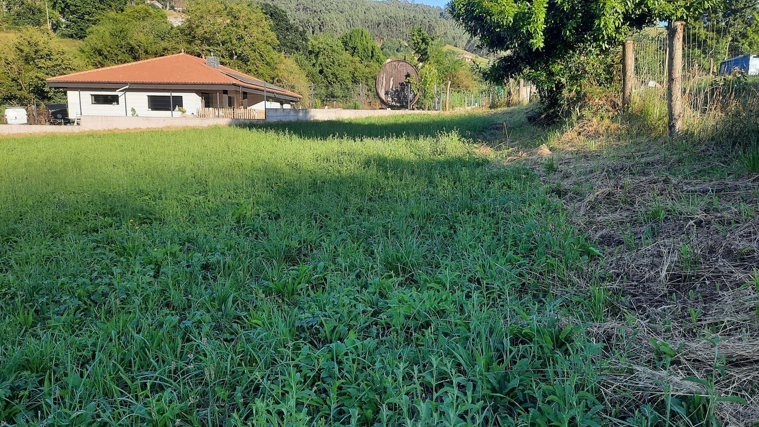 Fincas y solares-Venta-GijÃ³n-1398348-Foto-8