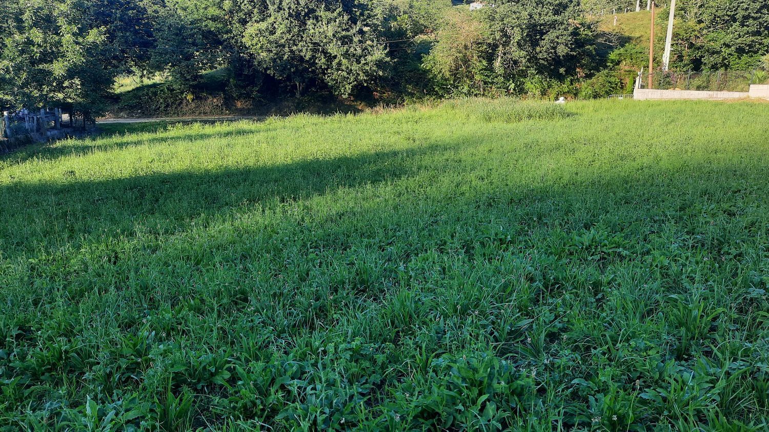 Fincas y solares-Venta-GijÃ³n-1398348-Foto-7