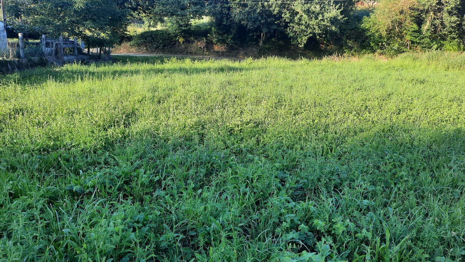 Fincas y solares-Venta-GijÃ³n-1398348-Foto-13