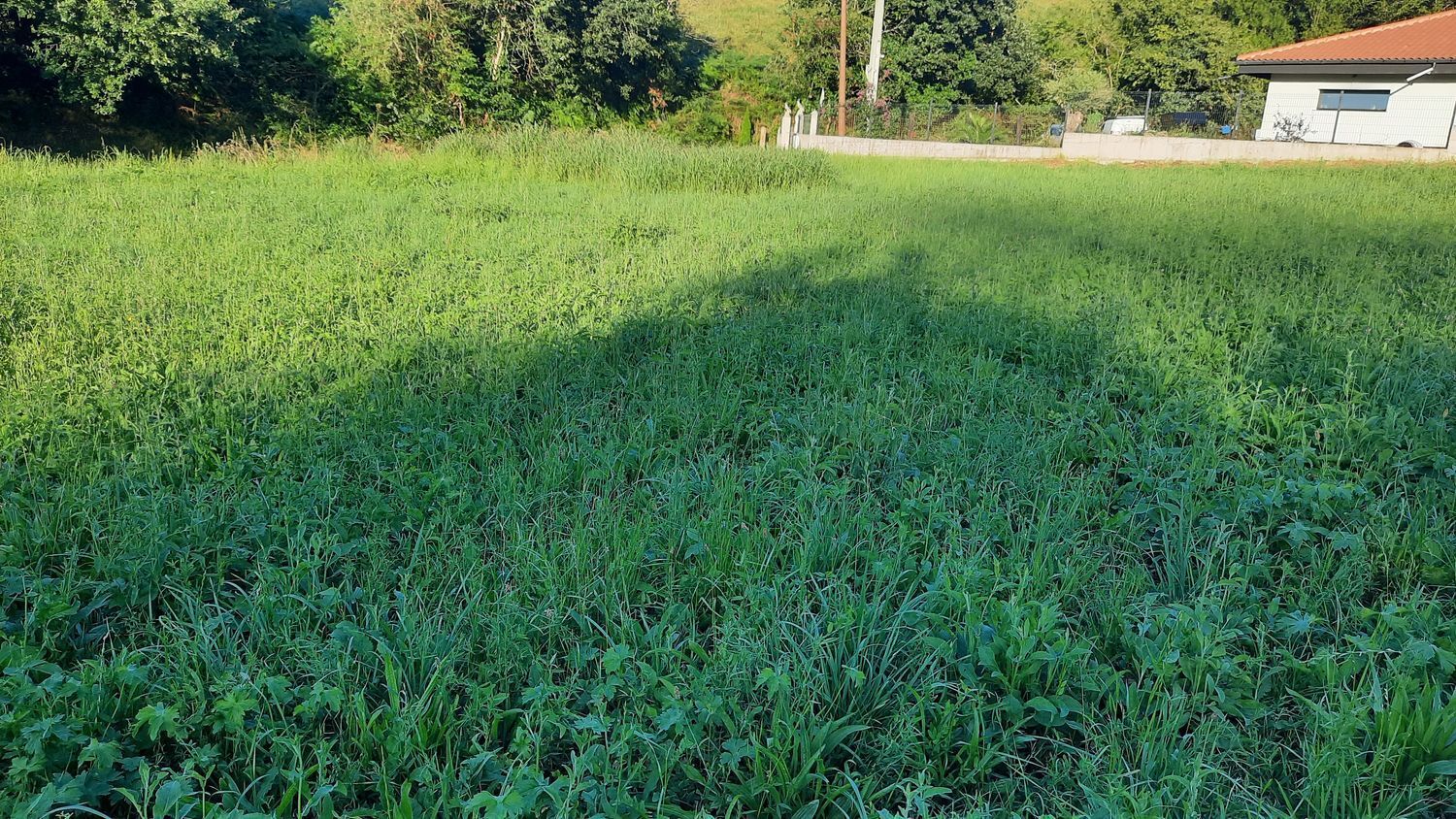 Fincas y solares-Venta-GijÃ³n-1398348-Foto-14