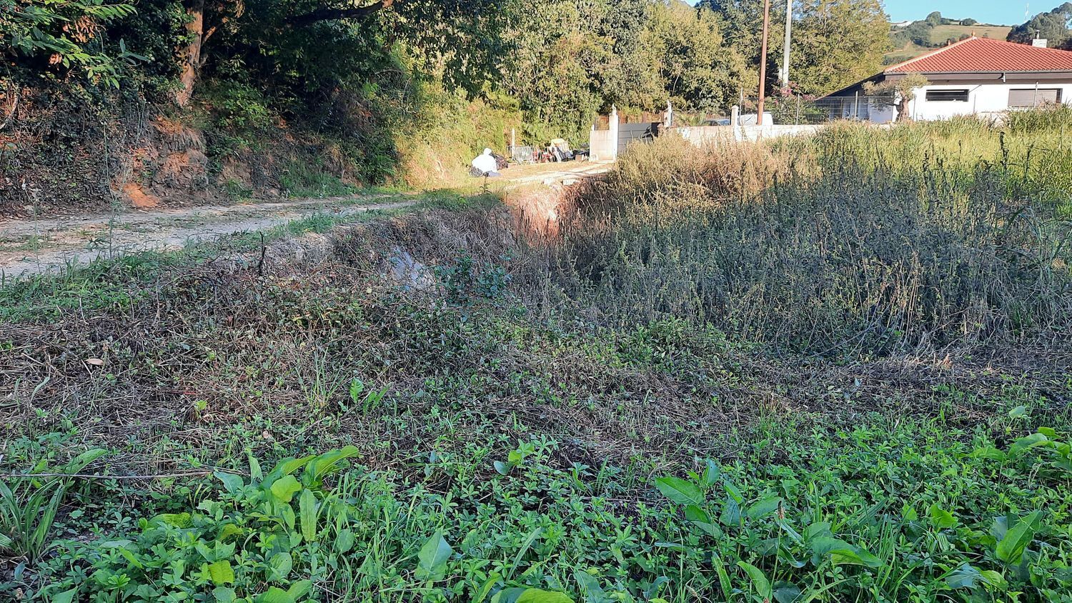 Fincas y solares-Venta-GijÃ³n-1398348-Foto-16