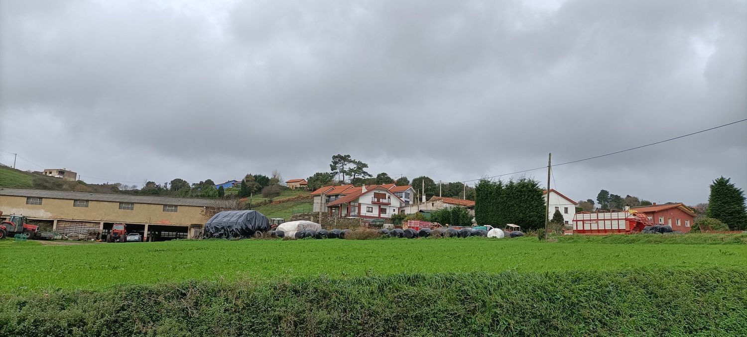 Fincas y solares-Venta-GozÃ³n-666514-Foto-14