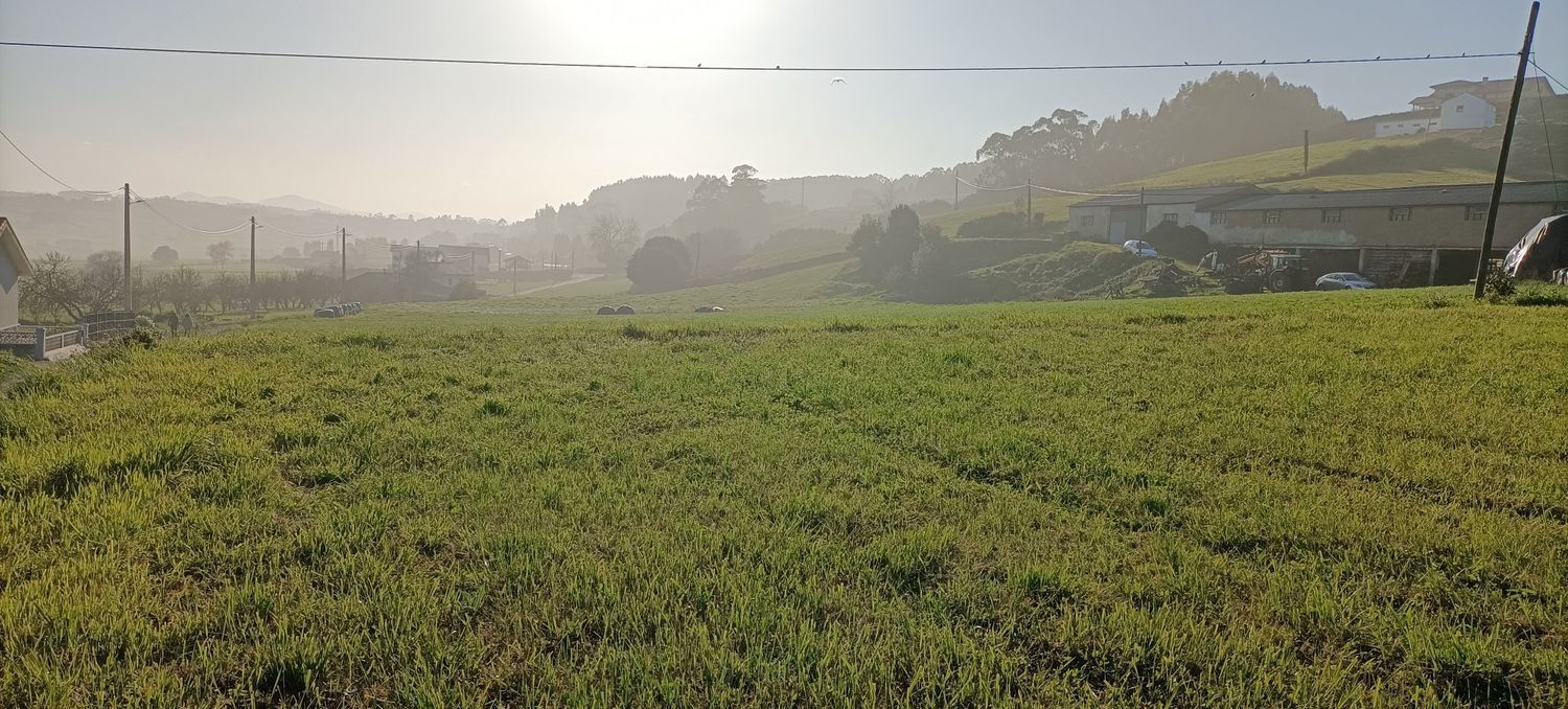 Fincas y solares-Venta-GozÃ³n-666514-Foto-19