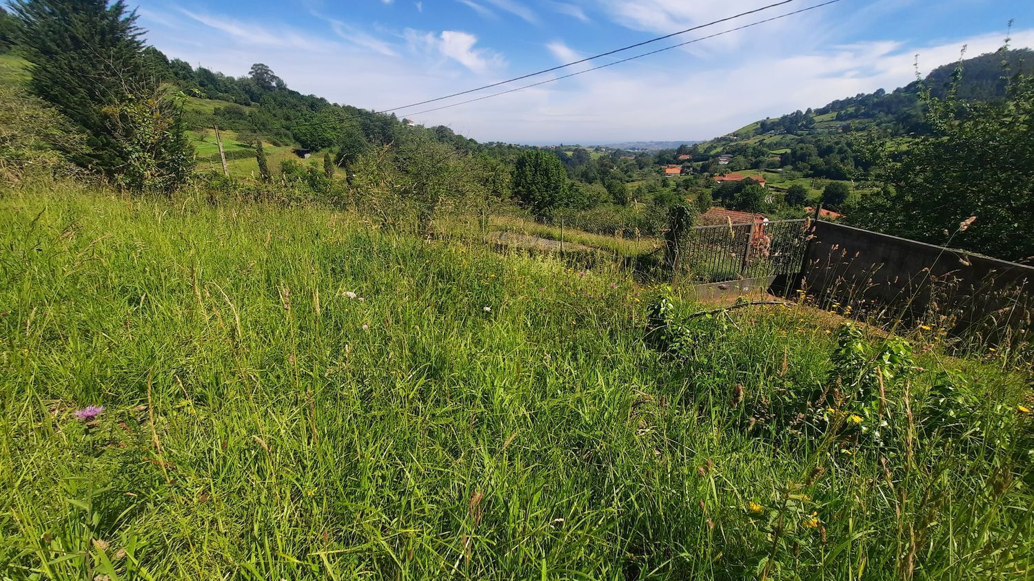 Fincas y solares-Venta-GijÃ³n-1121363-Foto-5