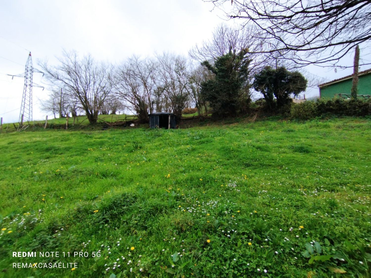 Fincas y solares-Venta-Villena-1088077-Foto-7