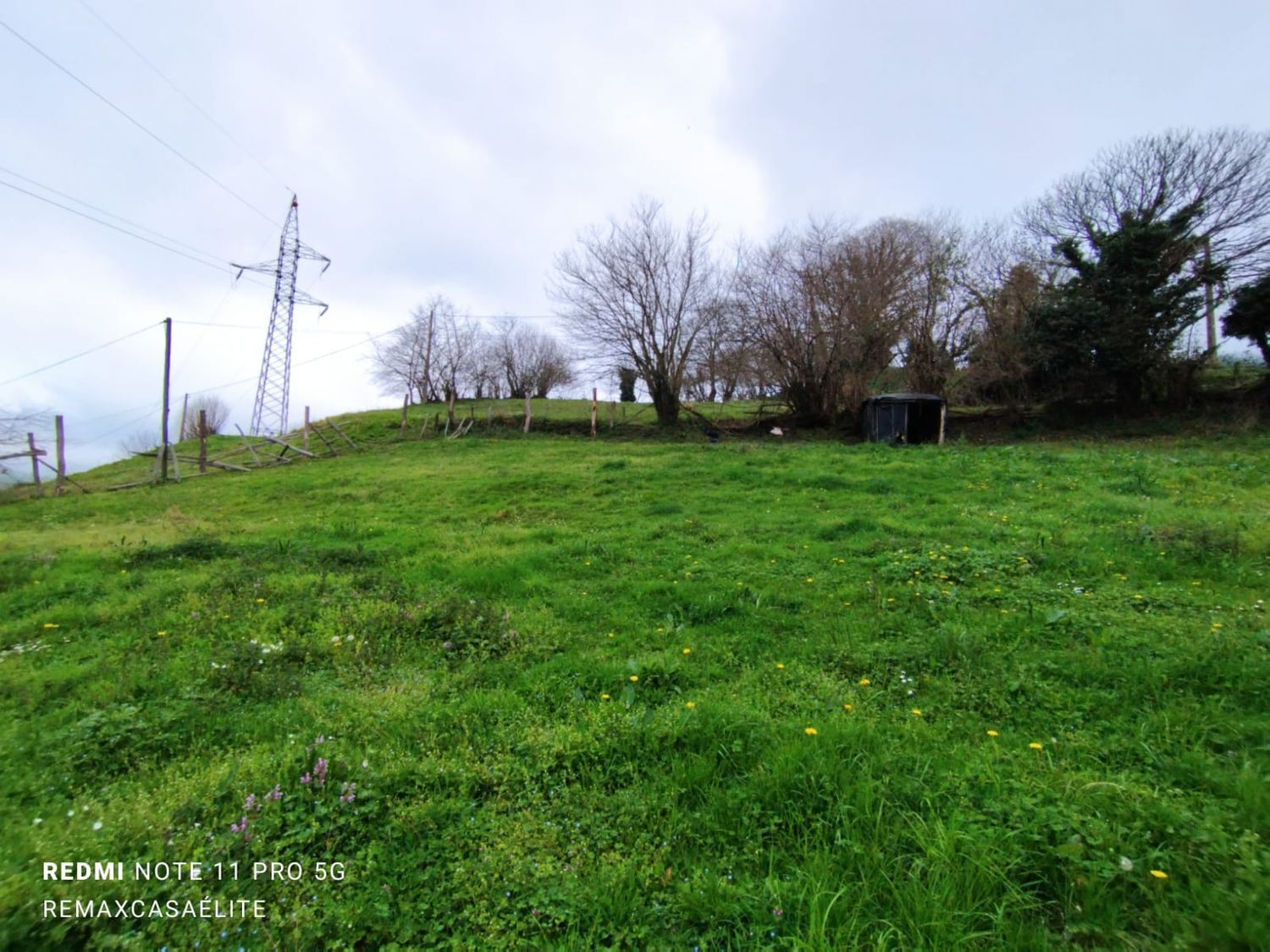 Fincas y solares-Venta-Villena-1088077-Foto-9