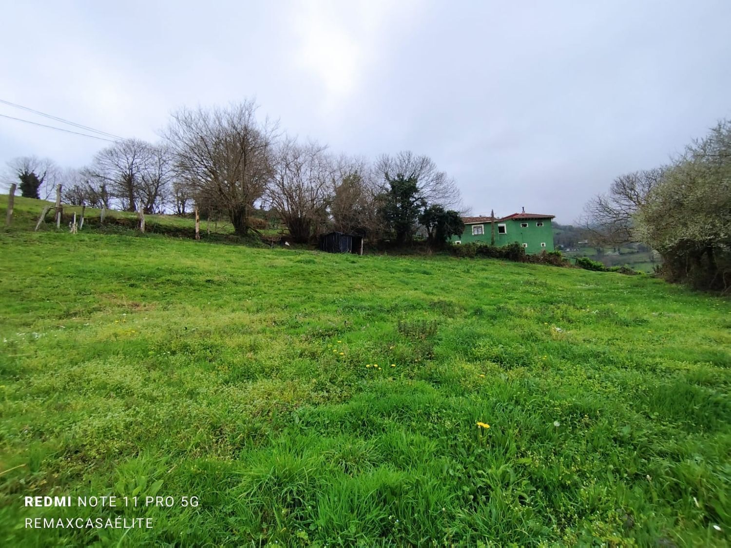 Fincas y solares-Venta-Villena-1088077-Foto-10