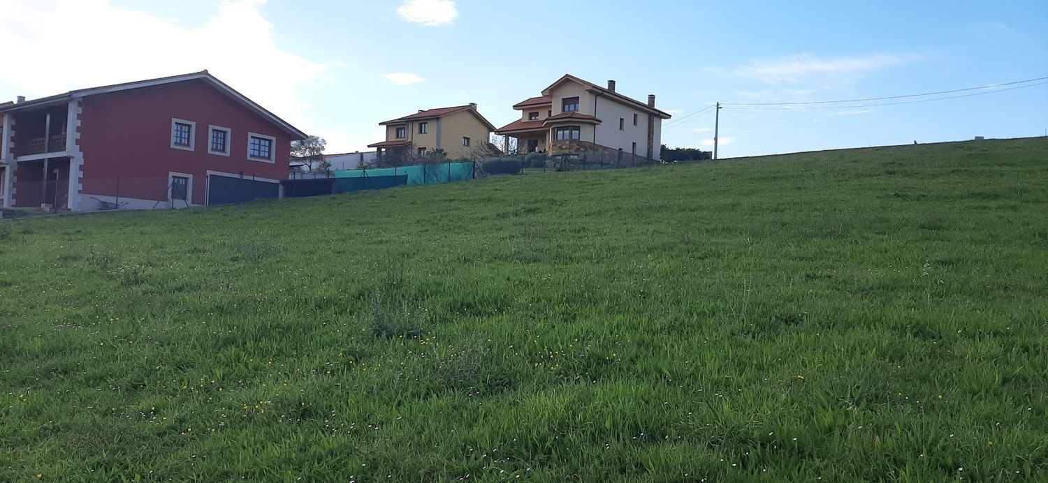 Fincas y solares-Venta-CastrillÃ³n-1700008-Foto-2