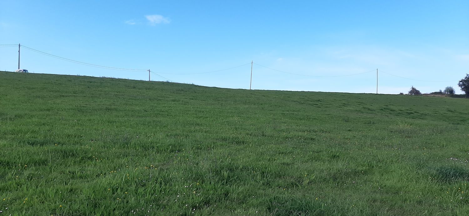 Fincas y solares-Venta-CastrillÃ³n-1700005-Foto-3