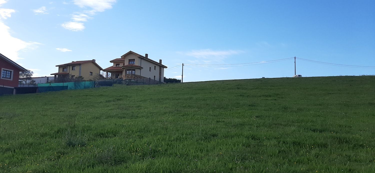 Fincas y solares-Venta-CastrillÃ³n-1700005-Foto-4
