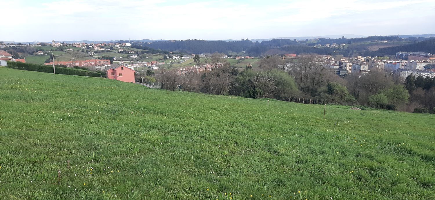 Fincas y solares-Venta-Castrillón-1710267