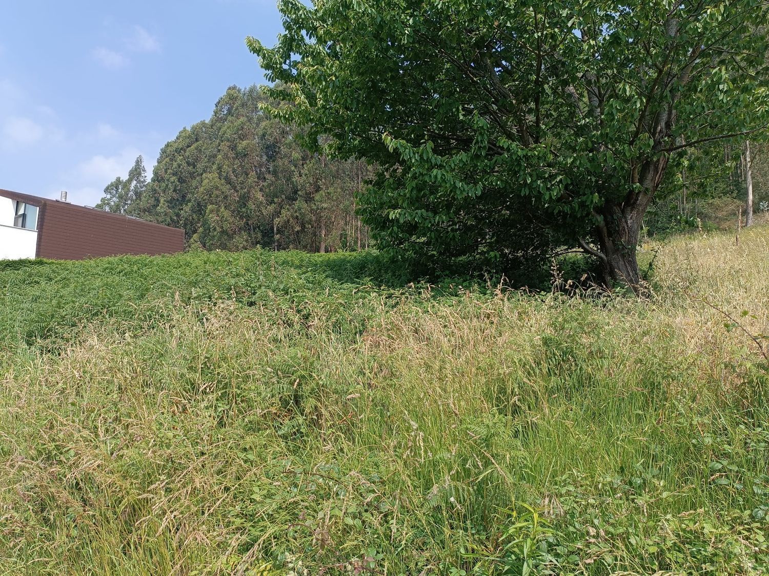 Fincas y solares-Venta-Corvera de Asturias-888678-Foto-2