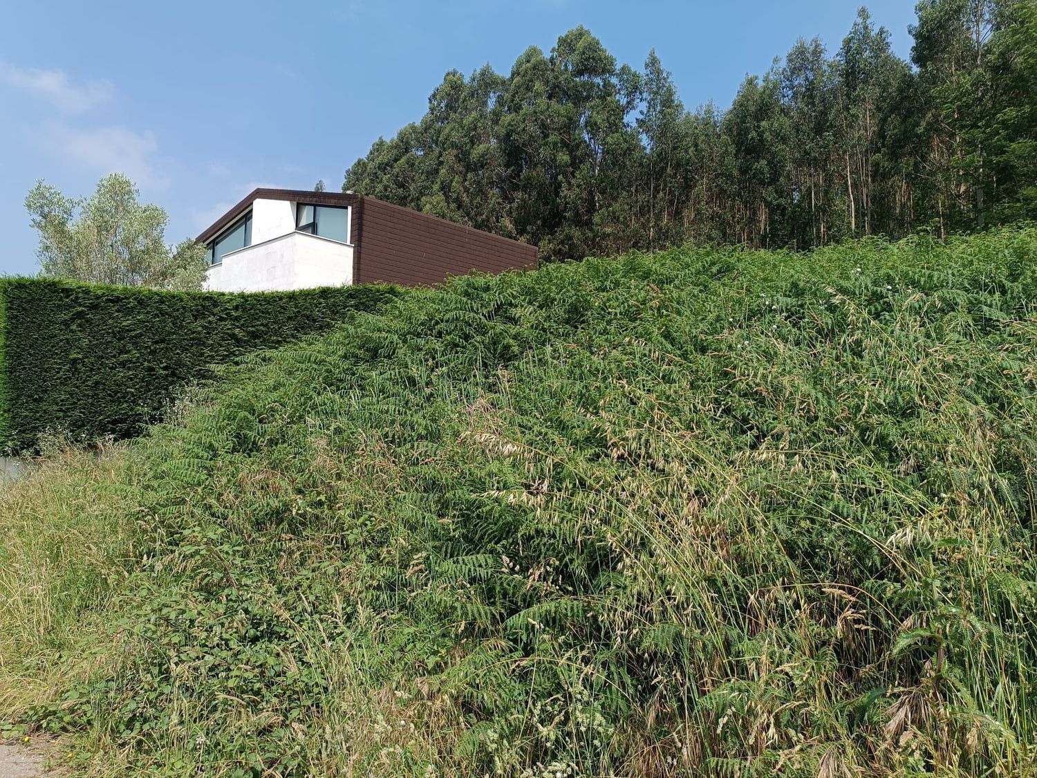 Fincas y solares-Venta-Corvera de Asturias-888678-Foto-7