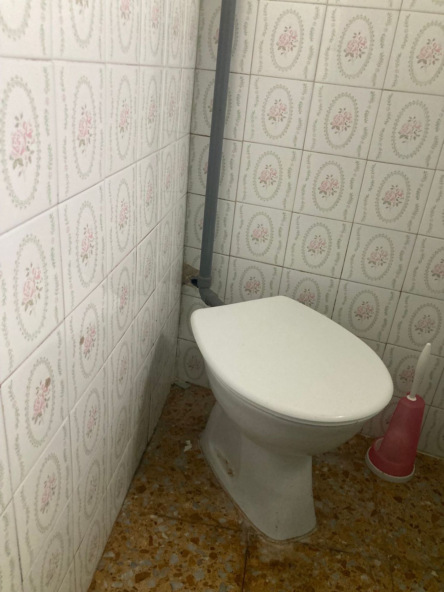 Negocios-Alquiler-Oviedo-1180232-Foto-10