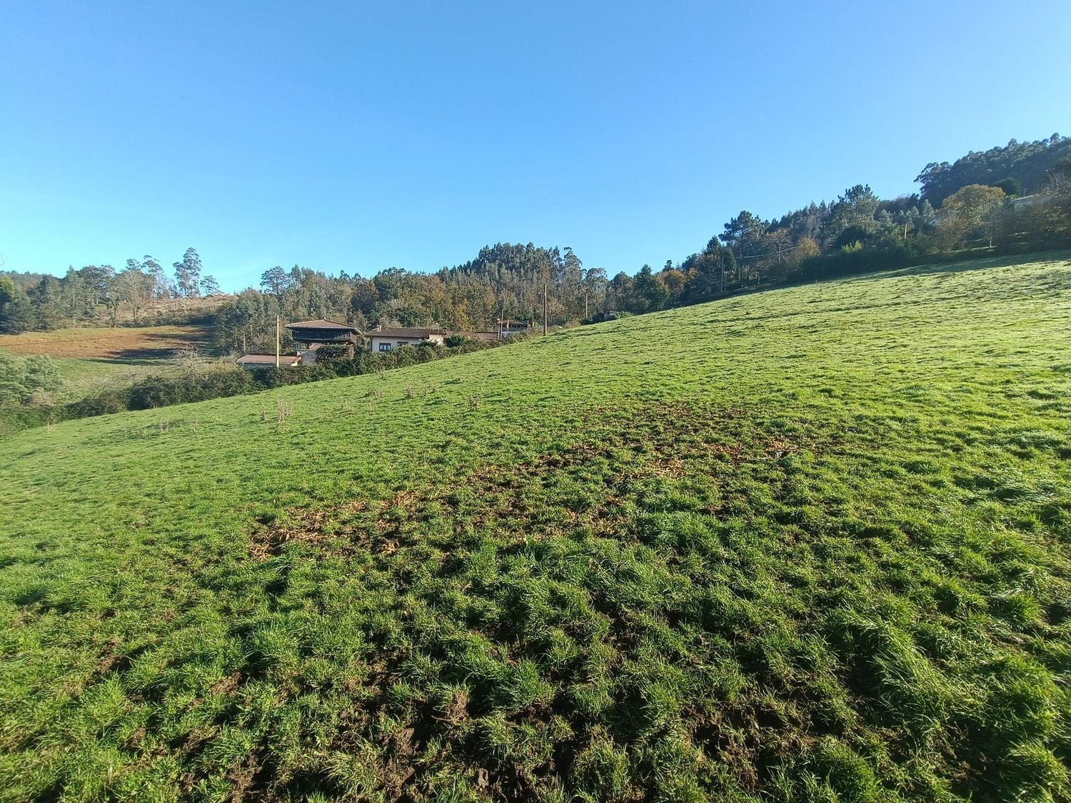 Fincas y solares-Venta-Soto del Barco-1509192-Foto-3