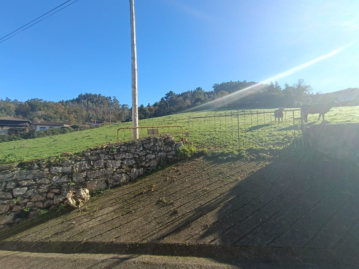 Fincas y solares-Venta-Soto del Barco-1509192-Foto-7