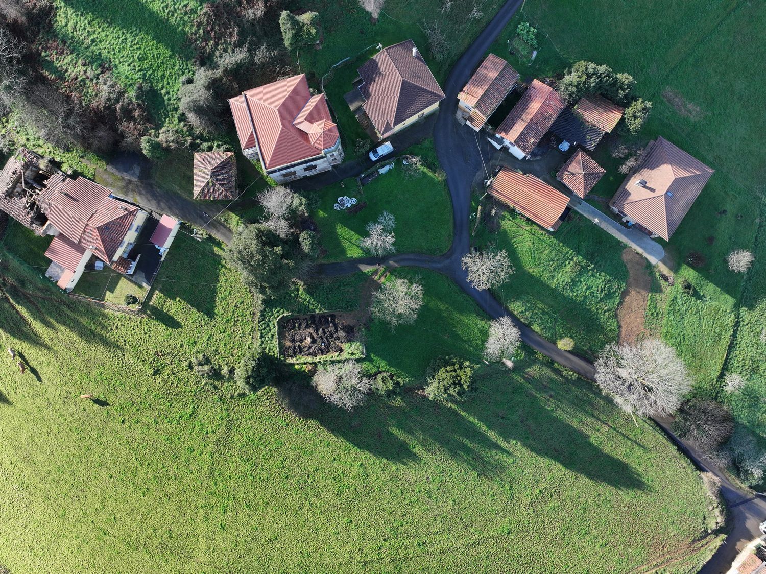 Fincas y solares-Venta-Cudillero-1653404-Foto-8