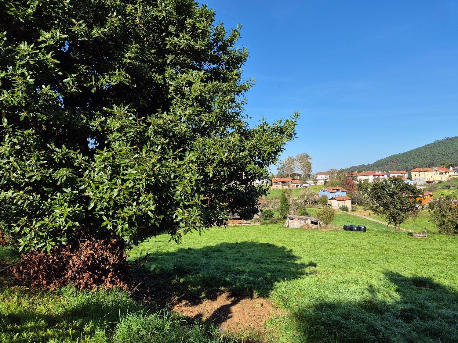 Fincas y solares-Venta-Cudillero-1653404-Foto-14