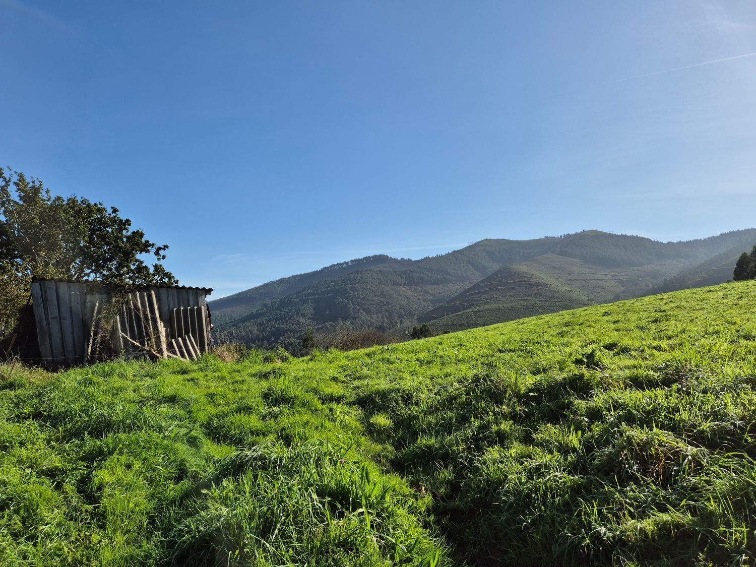 Fincas y solares-Venta-Cudillero-1653404-Foto-11