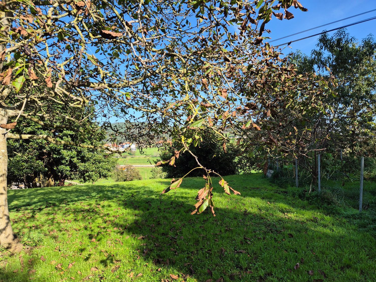Fincas y solares-Venta-Cudillero-1653404-Foto-16