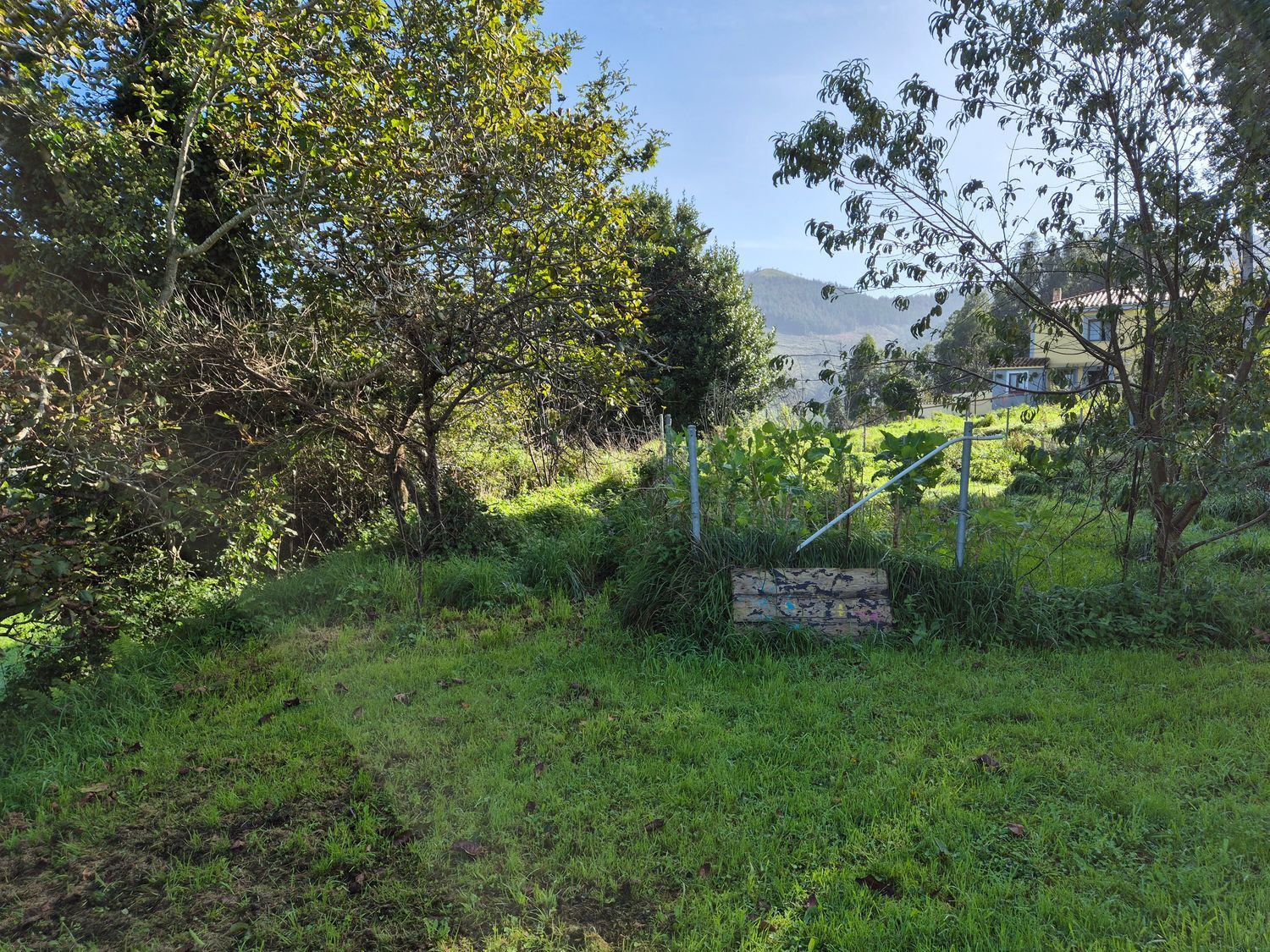 Fincas y solares-Venta-Cudillero-1653404-Foto-15