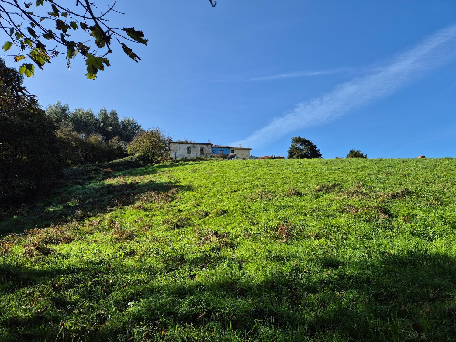 Fincas y solares-Venta-Cudillero-1653404-Foto-21