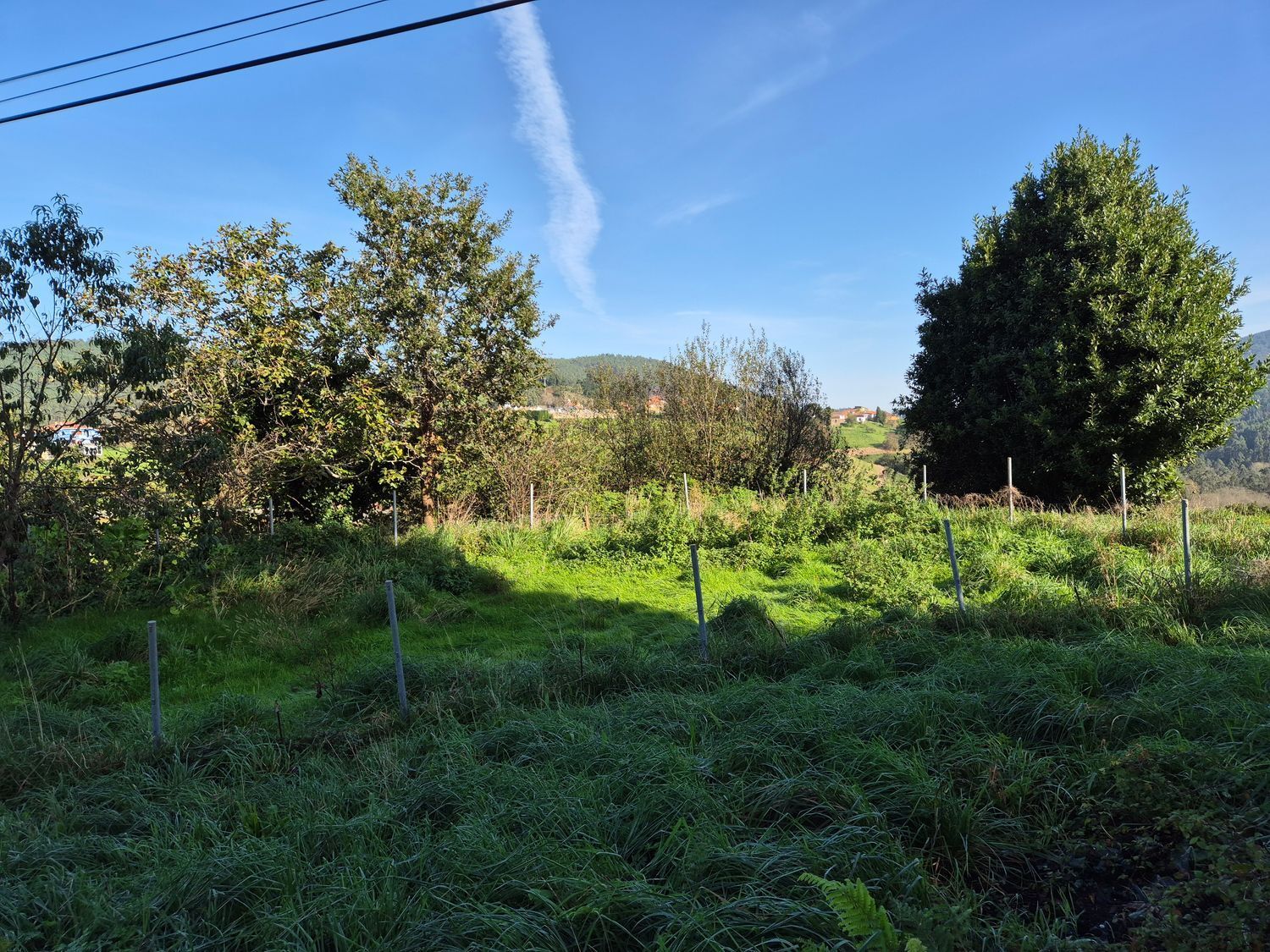 Fincas y solares-Venta-Cudillero-1653404-Foto-17