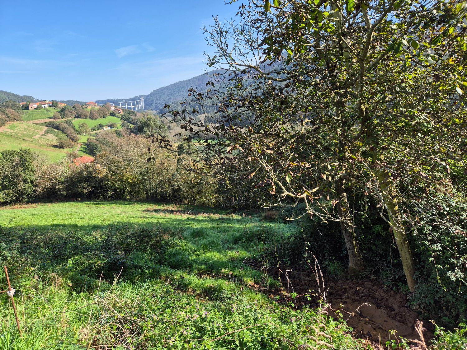 Fincas y solares-Venta-Cudillero-1653404-Foto-20